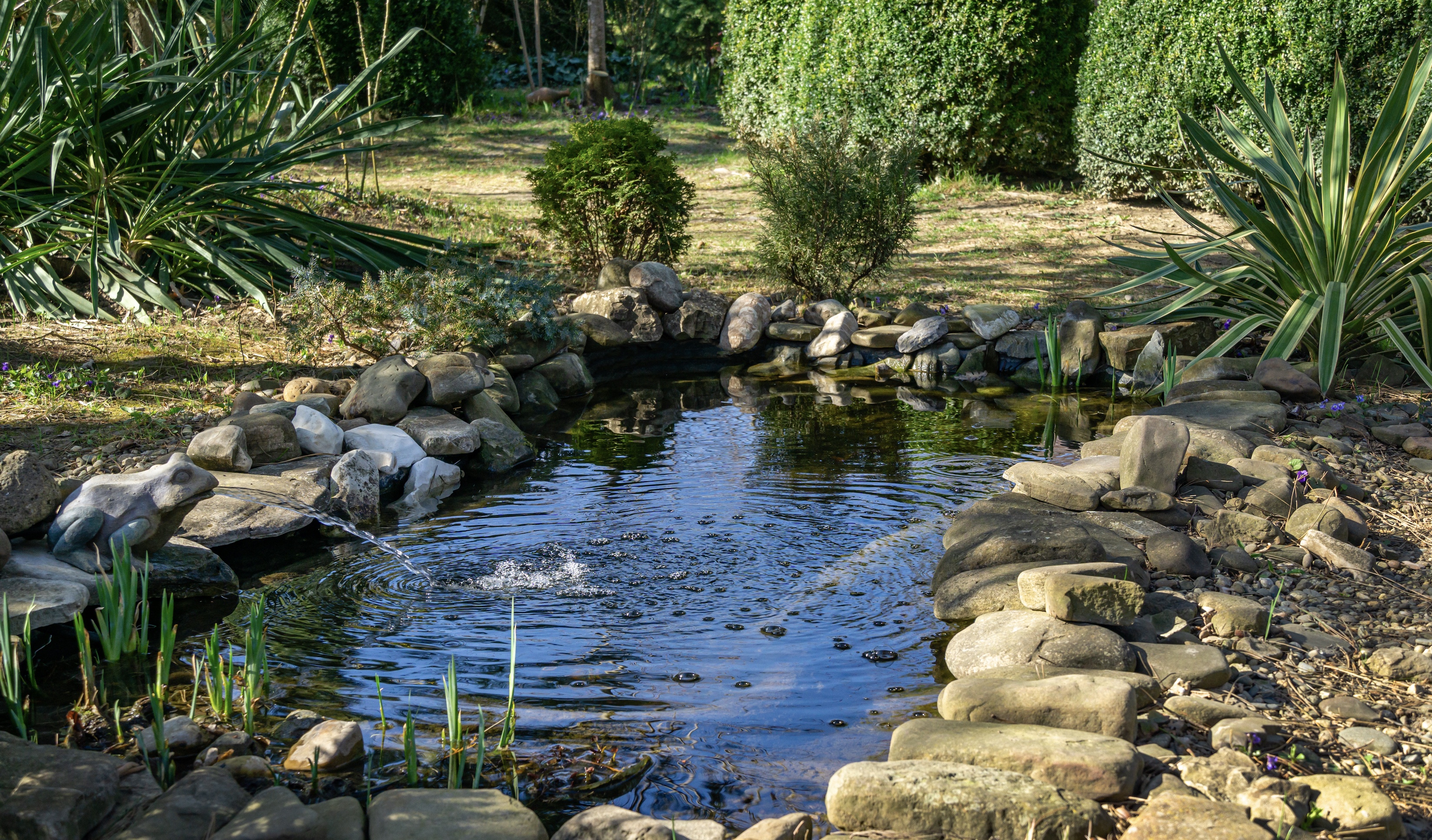 Stone-edged ornamental pond with a small fountain and surrounding garden plantings.